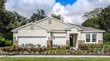 3050 Kingsman Trail - Photo 1