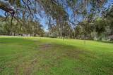 25138 Buttonwood Drive - Photo 36