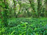  Curry Ford Road - Photo 8