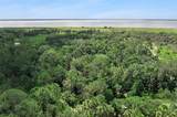  Canvasback Trail - Photo 11