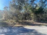 1056 Bamboo Lane - Photo 11