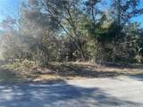 1056 Bamboo Lane - Photo 4