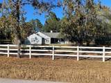 1056 Bamboo Lane - Photo 7