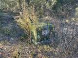1056 Bamboo Lane - Photo 9