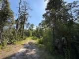 1842 Sweetwater Bend - Photo 3