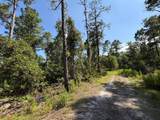 1842 Sweetwater Bend - Photo 4