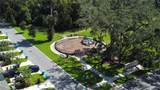 3139 Azolla Street - Photo 14