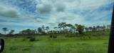 20366 270TH Street - Photo 28