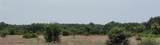 20366 270TH Street - Photo 30