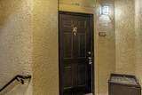 1341 Arbor Vista Loop - Photo 2