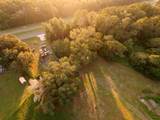 24368 Dorsey Smith Road - Photo 10