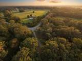 24368 Dorsey Smith Road - Photo 14