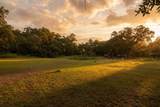 24368 Dorsey Smith Road - Photo 16