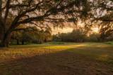 24368 Dorsey Smith Road - Photo 17