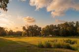 24368 Dorsey Smith Road - Photo 18