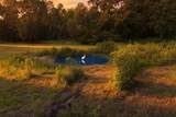 24368 Dorsey Smith Road - Photo 19