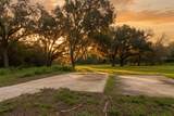 24368 Dorsey Smith Road - Photo 21