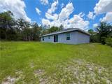 1369 Dolores Drive - Photo 39