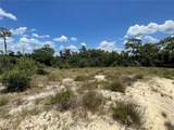 1342 Homosassa Court - Photo 4
