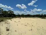 1344 Homosassa Court - Photo 4