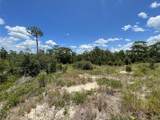 1340 Homosassa Court - Photo 2