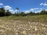 1340 Homosassa Court - Photo 4
