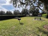 15784 Sweet Limetta Drive - Photo 59