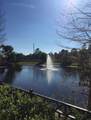 12539 Floridays Resort Drive - Photo 36
