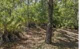 1231 Camilo Street - Photo 4
