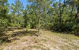 1231 Camilo Street - Photo 5