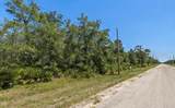 1231 Camilo Street - Photo 6