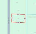 1231 Camilo Street - Photo 8