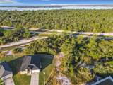 1257 Amazon Lane - Photo 8