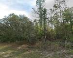 7745 Maltese Drive - Photo 1