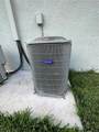 3313 Walnut Street - Photo 17
