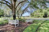 25608 Grandview Pointe - Photo 74