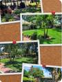 27728 Lisa Drive - Photo 30