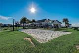 8932 Bismarck Palm Drive - Photo 43