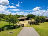 6820 County Road 561 - Photo 35