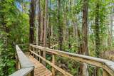 21105 Lake Vienna Drive - Photo 84