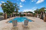 923 Torrey Pine Drive - Photo 34