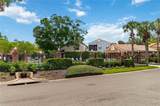 923 Torrey Pine Drive - Photo 35