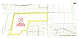 6203 Allen Street - Photo 8