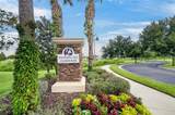14735 Snowy Egret Street - Photo 53