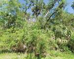 10243 Palmetto Street - Photo 1