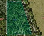 00 Van Fleet Trail - Photo 4