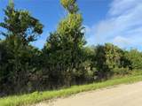 720 Shady Hallow Boulevard - Photo 5