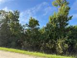 720 Shady Hallow Boulevard - Photo 7