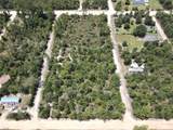  Viking Avenue - Photo 5