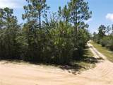 Viking Avenue - Photo 6